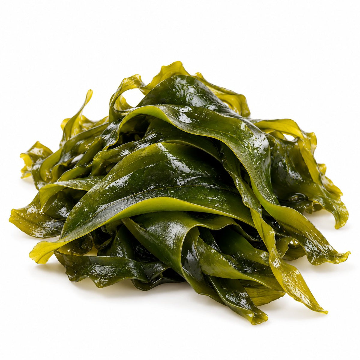 Kelp fronds